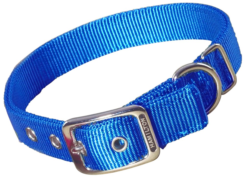 Nylon Dog Collar 1 X 26 IN Blue