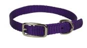 Nylon Dog Collar 5/8 X 12 In Purple