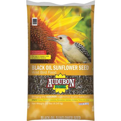 audobon-black-oil-sunflower-seed-40-lb