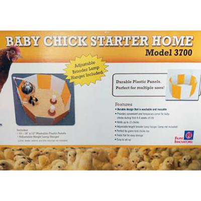 baby-chick-starter-home