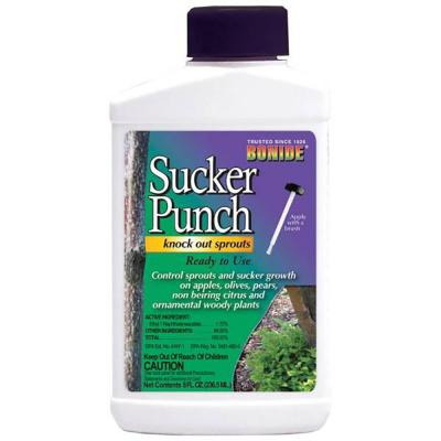 Bonide Sucker Punch 8 oz.