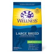 Wellness Lg Brd Adult 30 lb. - Autoship